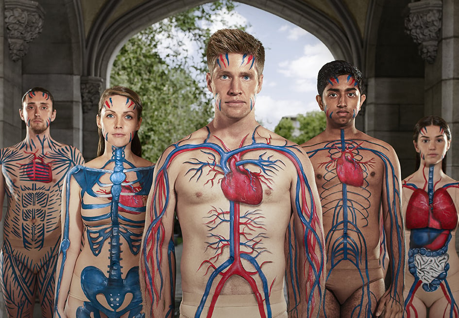 Campaign image of students with biological systems painted on their bodies..