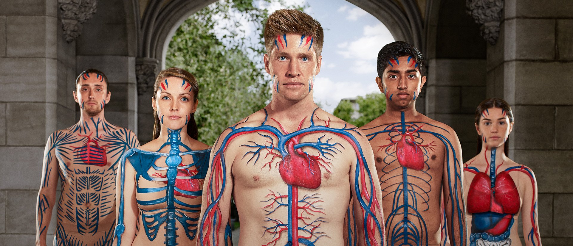 Campaign image of students with biological systems painted on their bodies..